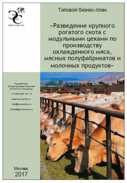 Бизнес-план разведения крупного рогатого скота (КРС) с модульными цехами по производству охлажденного мяса, мясных полуфабрикатов и молочных продуктов (с финансовой моделью) – 2017 