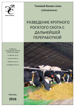 Бизнес-план организации разведения крупного рогатого скота (КРС) с дальнейшей переработкой – 2016 (с финансовой моделью) 